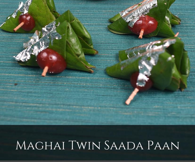 Maghai Twins Saada